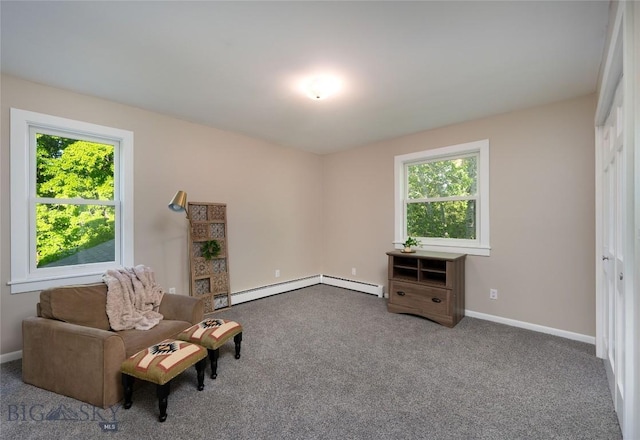 8373 Goldenstein Ln, Bozeman, MT 59715 - living area featuring plenty of natural light, carpet floors, and a baseboard heating unit