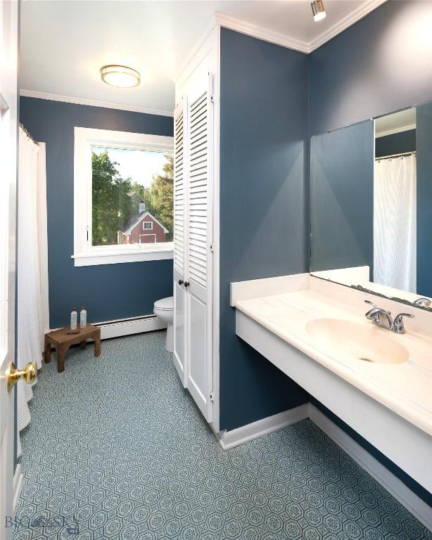 8373 Goldenstein Ln, Bozeman, MT 59715 - bathroom with vanity, ornamental molding, and a baseboard radiator