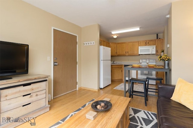 13 Moose Ridge Rd, Big Sky, MT 59716 - living area with light wood-type flooring