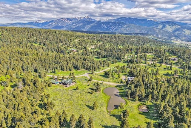 238 Great Gray Holw, Gallatin Gateway, MT 59730