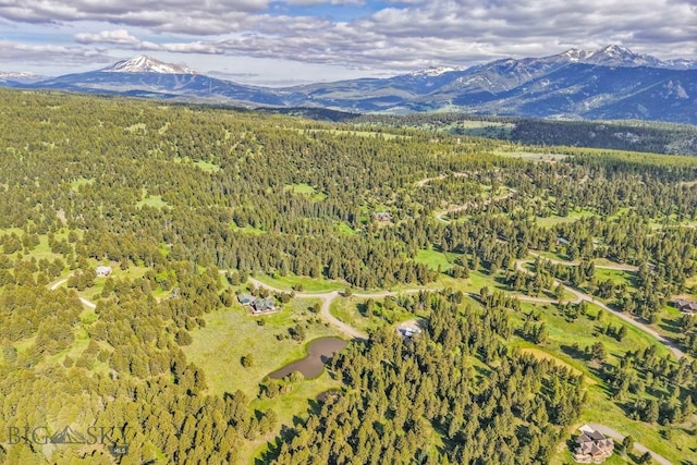 238 Great Gray Holw, Gallatin Gateway, MT 59730