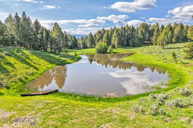 238 Great Gray Holw, Gallatin Gateway, MT 59730