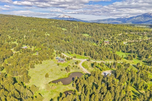 238 Great Gray Holw, Gallatin Gateway, MT 59730
