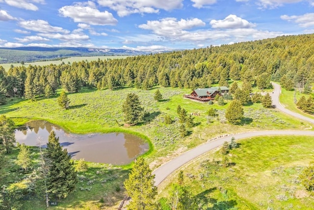 238 Great Gray Holw, Gallatin Gateway, MT 59730