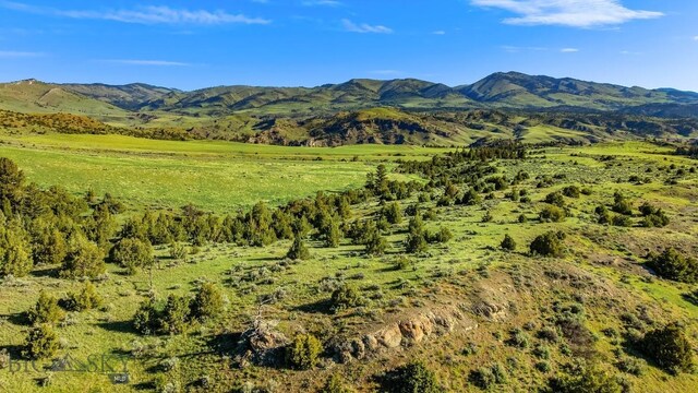 TBD Dry Creek Rd, Belgrade, MT 59714