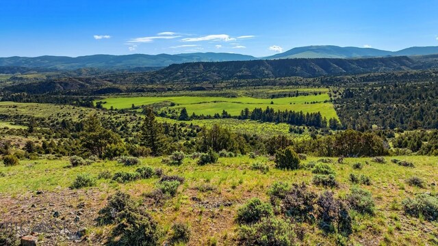 TBD Dry Creek Rd, Belgrade, MT 59714