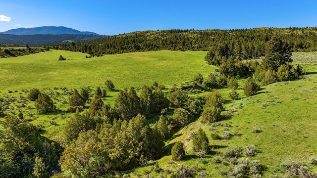 TBD Dry Creek Rd, Belgrade, MT 59714