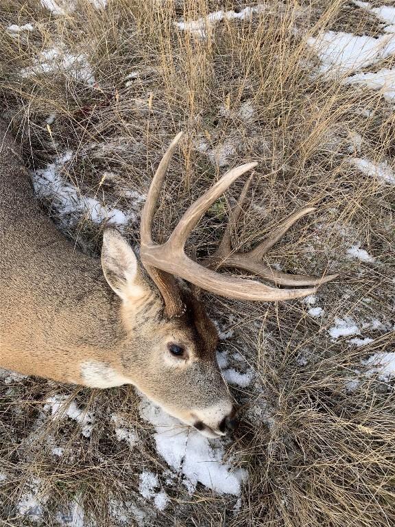 TBD Dry Creek Rd, Belgrade, MT 59714