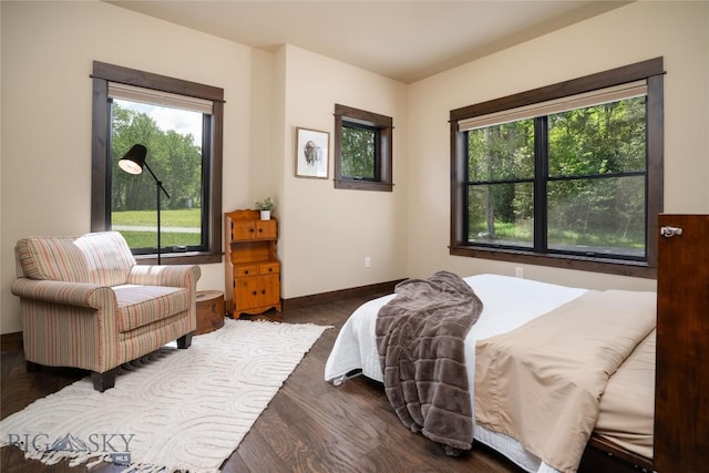13011 Cottonwood Canyon Rd, Bozeman, MT 59718 - bedroom with wood finished floors and multiple windows