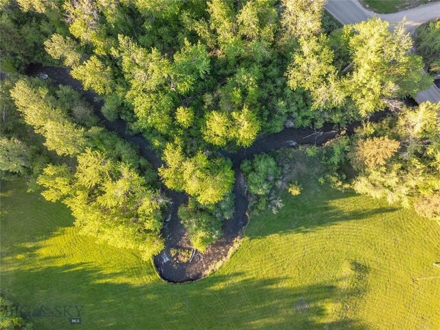 13011 Cottonwood Canyon Rd, Bozeman, MT 59718 - bird's eye view