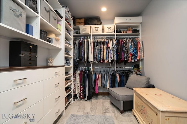13011 Cottonwood Canyon Rd, Bozeman, MT 59718 - walk in closet featuring light wood-style floors