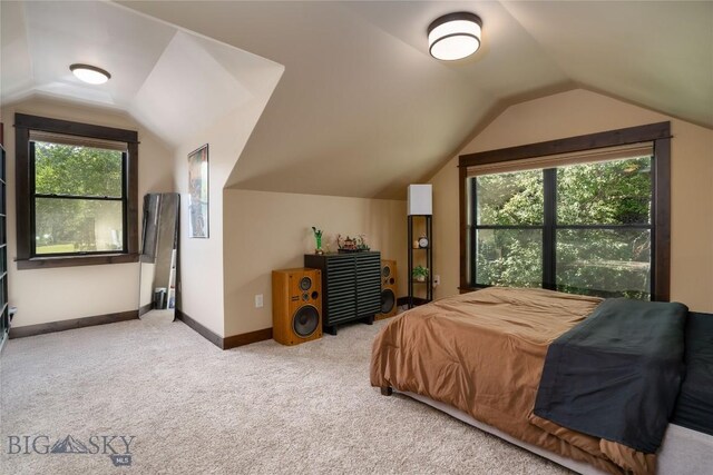 13011 Cottonwood Canyon Rd, Bozeman, MT 59718 - bedroom featuring lofted ceiling and carpet floors