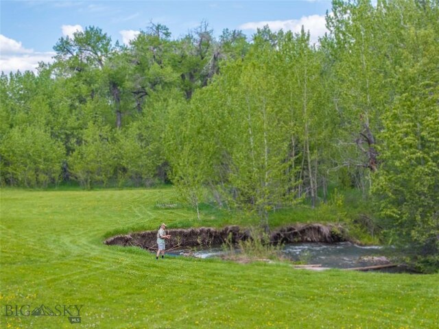 13011 Cottonwood Canyon Rd, Bozeman, MT 59718 - view of green lawn featuring a forest view