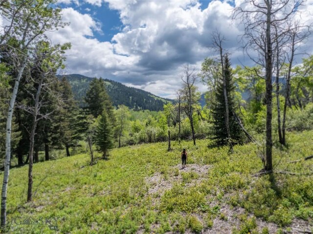 13011 Cottonwood Canyon Rd, Bozeman, MT 59718 - mountain view featuring a forest
