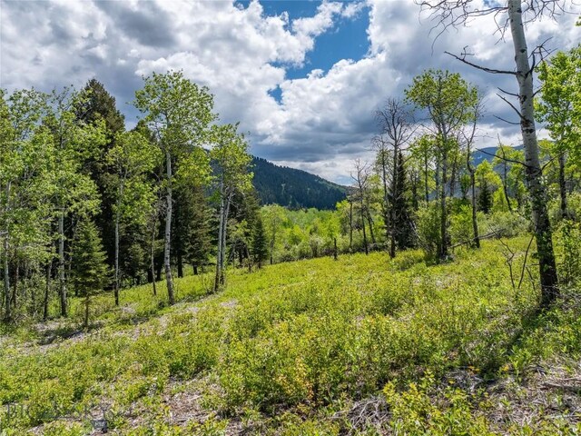 13011 Cottonwood Canyon Rd, Bozeman, MT 59718 - view of mountain background featuring a forest