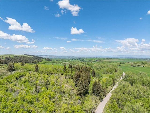 13011 Cottonwood Canyon Rd, Bozeman, MT 59718 - aerial view of a forest