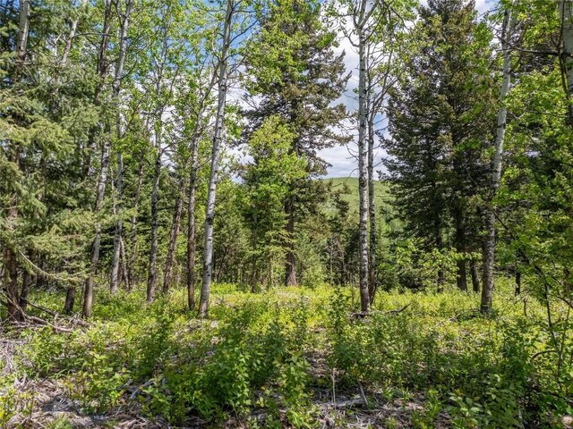 13011 Cottonwood Canyon Rd, Bozeman, MT 59718 - view of woods