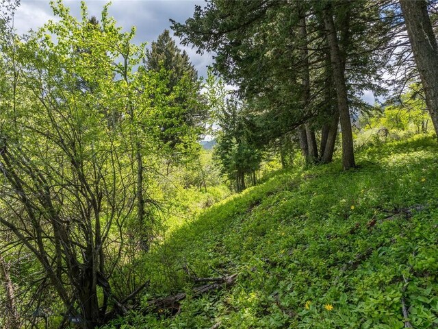 13011 Cottonwood Canyon Rd, Bozeman, MT 59718 - view of wooded area