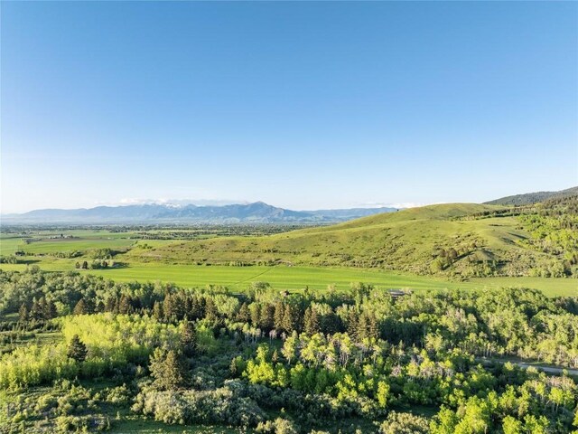13011 Cottonwood Canyon Rd, Bozeman, MT 59718 - view of mountain backdrop