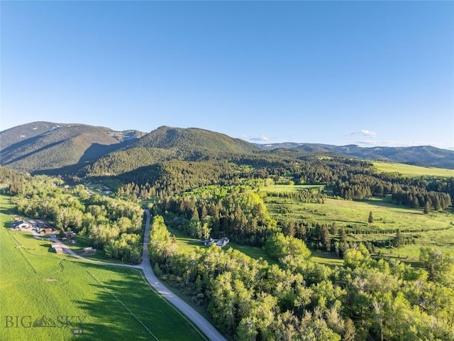 13011 Cottonwood Canyon Rd, Bozeman, MT 59718 - view of mountain background