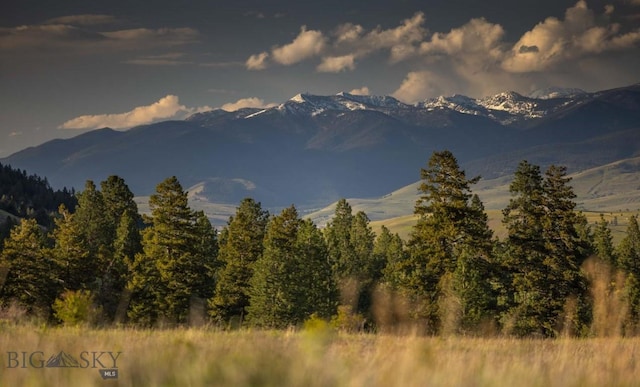 8337 Lamar Trl, Lolo, MT 59847 - view of mountain backdrop