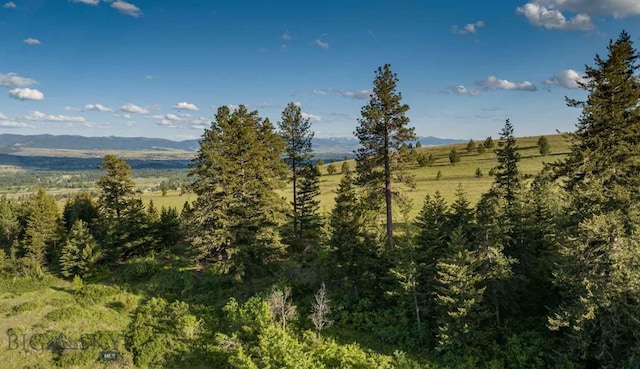 8337 Lamar Trl, Lolo, MT 59847 - view of mountain backdrop