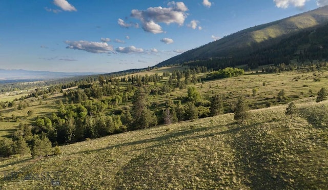 8337 Lamar Trl, Lolo, MT 59847 - view of mountain backdrop