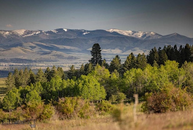 8337 Lamar Trl, Lolo, MT 59847 - view of mountain backdrop