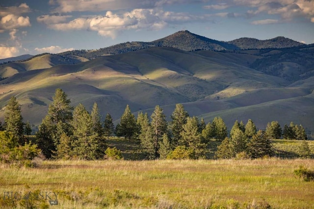 8337 Lamar Trl, Lolo, MT 59847 - mountain view