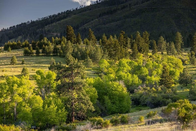 8337 Lamar Trl, Lolo, MT 59847 - view of mountain backdrop featuring a forest