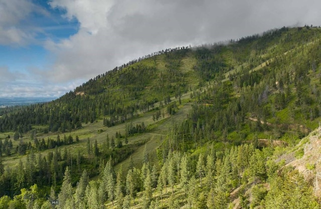 8337 Lamar Trl, Lolo, MT 59847 - view of mountain backdrop with a forest