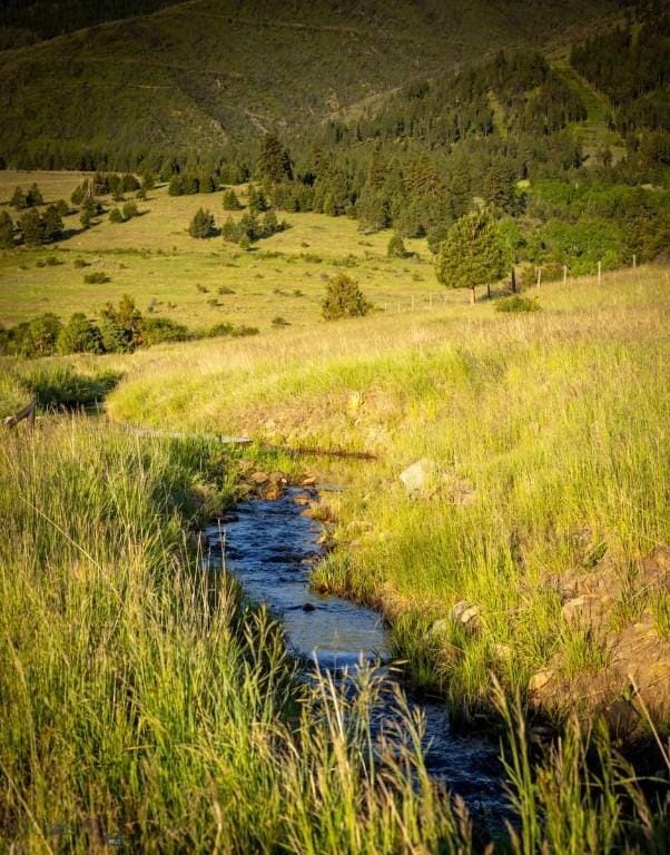 8337 Lamar Trl, Lolo, MT 59847 - view of undeveloped land