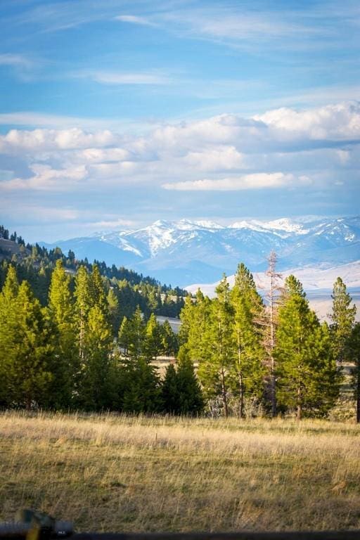 8337 Lamar Trl, Lolo, MT 59847 - mountain view