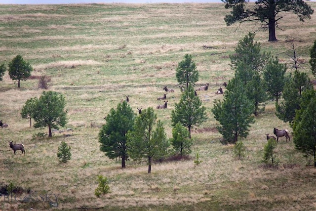 8337 Lamar Trl, Lolo, MT 59847 - view of local wilderness featuring rural landscape