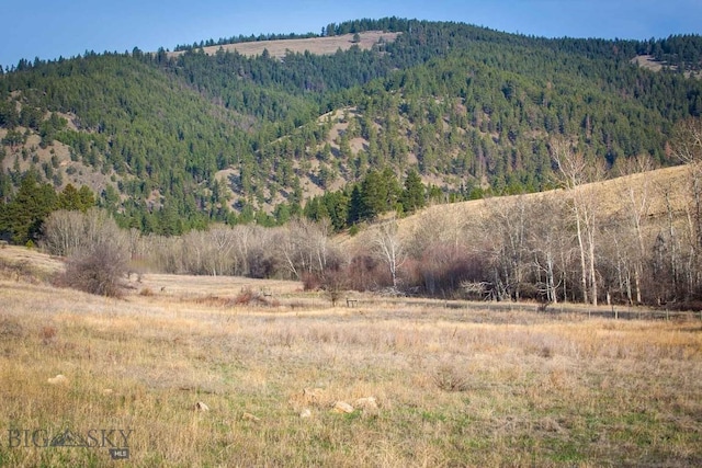 8337 Lamar Trl, Lolo, MT 59847 - mountain view with a forest