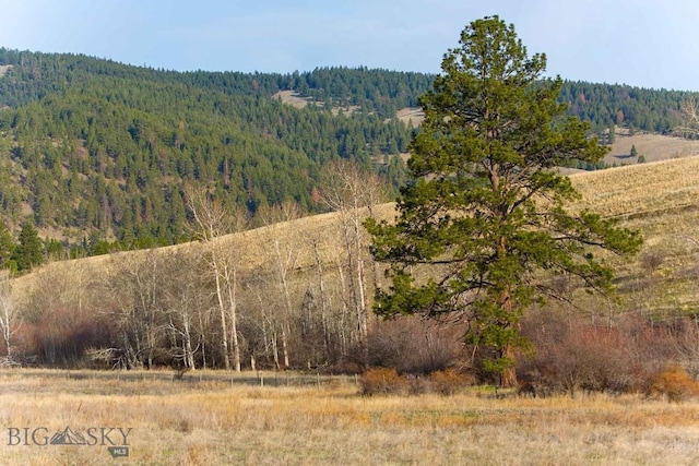 8337 Lamar Trl, Lolo, MT 59847 - mountain view with a forest