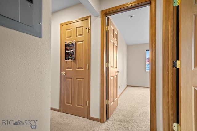 3401 Fallon St Unit 1D, Bozeman, MT 59718