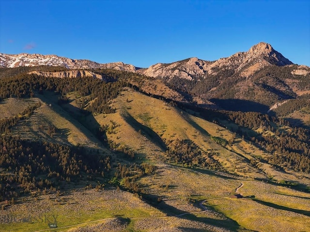 FourBarRanches Corbly Gulch, Belgrade, MT 59714 - view of mountain backdrop