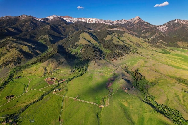 FourBarRanches Corbly Gulch, Belgrade, MT 59714 - view of mountain background