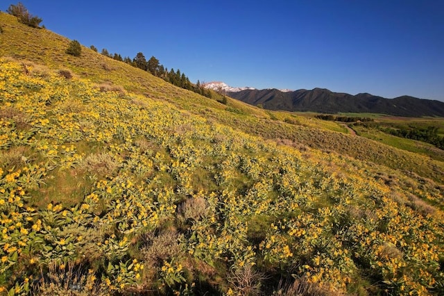 FourBarRanches Corbly Gulch, Belgrade, MT 59714 - view of mountain backdrop