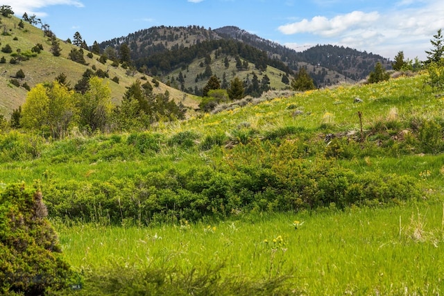 FourBarRanches Corbly Gulch, Belgrade, MT 59714 - view of mountain backdrop