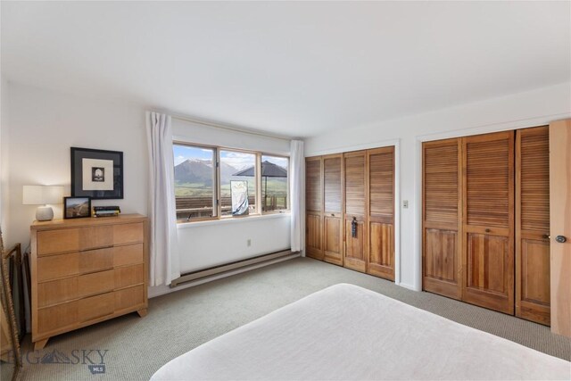145 Spring Creek Hills Rd, Livingston, MT 59047 - bedroom with light carpet and two closets