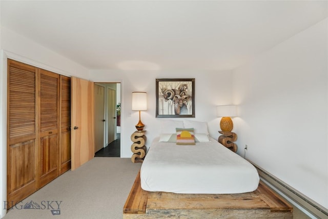 145 Spring Creek Hills Rd, Livingston, MT 59047 - bedroom with a closet