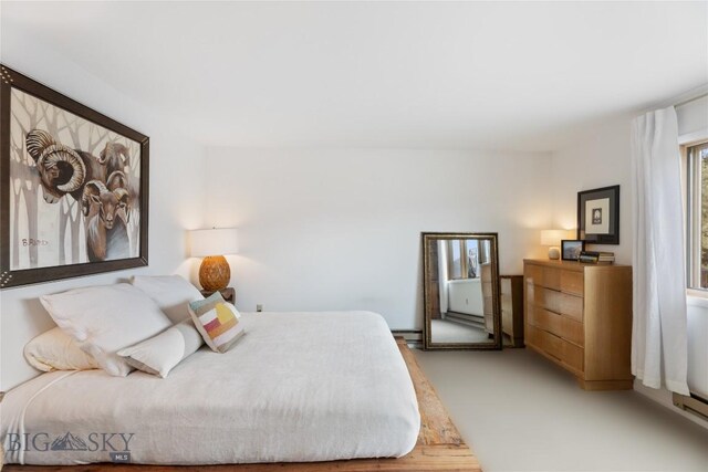 145 Spring Creek Hills Rd, Livingston, MT 59047 - view of bedroom