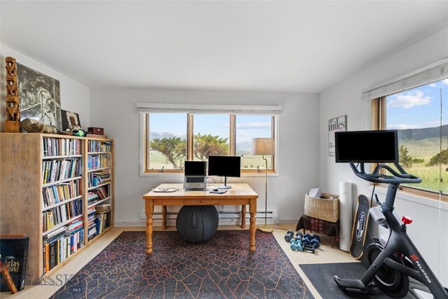 145 Spring Creek Hills Rd, Livingston, MT 59047 - home office with healthy amount of natural light and wood finished floors
