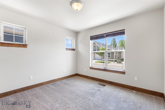 3559 Annie St, Bozeman, MT 59718 - photo 25