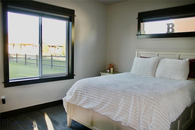 176 Travelers, Manhattan, MT 59741 - carpeted bedroom with baseboards