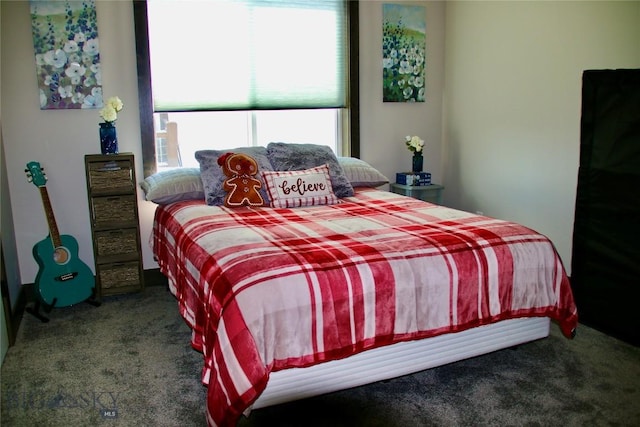 176 Travelers, Manhattan, MT 59741 - bedroom with carpet flooring
