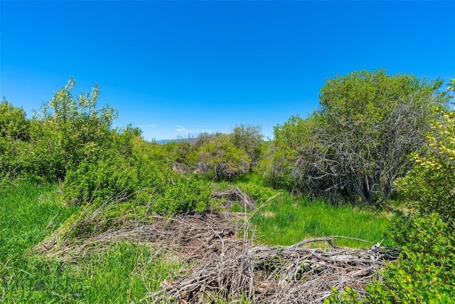 1856 Star Ridge Rd, Bozeman, MT 59715