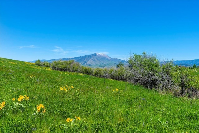 1856 Star Ridge Rd, Bozeman, MT 59715